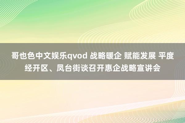 哥也色中文娱乐qvod 战略暖企 赋能发展 平度经开区、凤台街谈召开惠企战略宣讲会