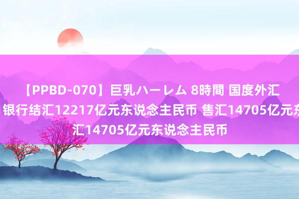 【PPBD-070】巨乳ハーレム 8時間 国度外汇贬责局：6月银行结汇12217亿元东说念主民币 售汇14705亿元东说念主民币