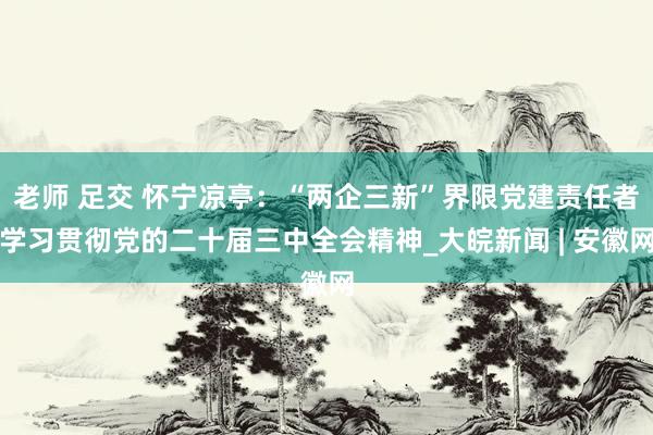老师 足交 怀宁凉亭：“两企三新”界限党建责任者学习贯彻党的二十届三中全会精神_大皖新闻 | 安徽网