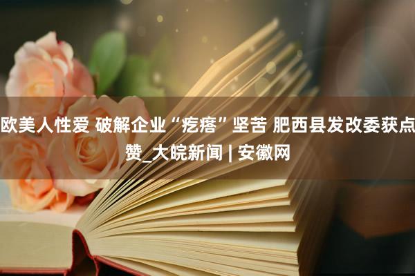 欧美人性爱 破解企业“疙瘩”坚苦 肥西县发改委获点赞_大皖新闻 | 安徽网