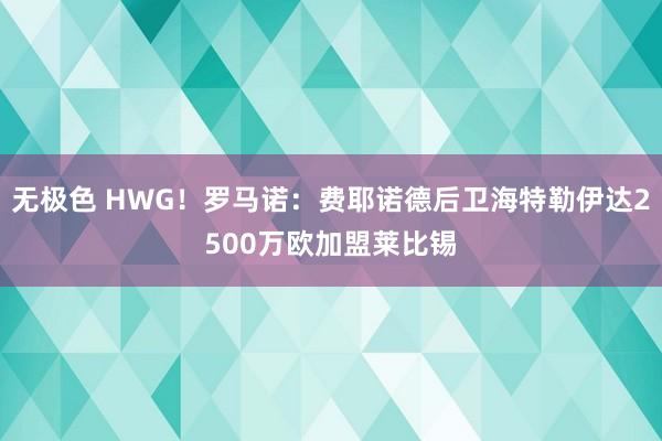 无极色 HWG！罗马诺：费耶诺德后卫海特勒伊达2500万欧加盟莱比锡