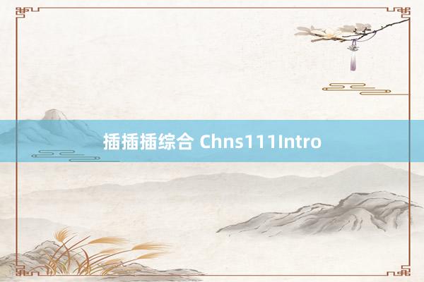插插插综合 Chns111Intro