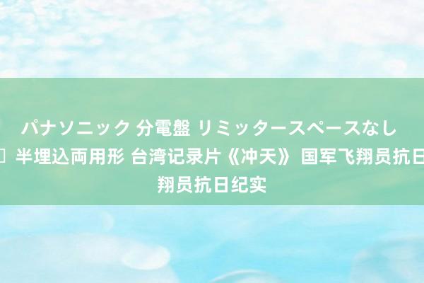 パナソニック 分電盤 リミッタースペースなし 露出・半埋込両用形 台湾记录片《冲天》 国军飞翔员抗日纪实
