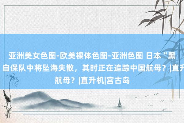 亚洲美女色图-欧美裸体色图-亚洲色图 日本“黑鹰陨落”，自保队中将坠海失散，其时正在追踪中国航母？|直升机|宫古岛