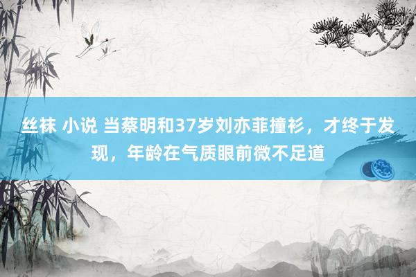 丝袜 小说 当蔡明和37岁刘亦菲撞衫，才终于发现，年龄在气质眼前微不足道