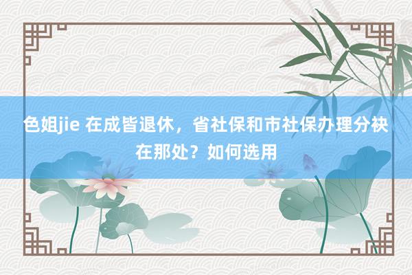 色姐jie 在成皆退休，省社保和市社保办理分袂在那处？如何选用