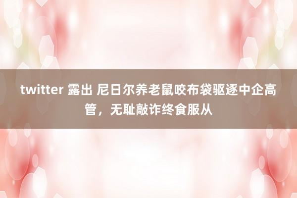 twitter 露出 尼日尔养老鼠咬布袋驱逐中企高管，无耻敲诈终食服从