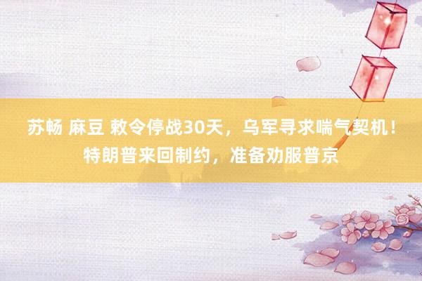 苏畅 麻豆 敕令停战30天，乌军寻求喘气契机！特朗普来回制约，准备劝服普京
