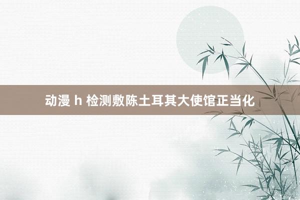 动漫 h 检测敷陈土耳其大使馆正当化