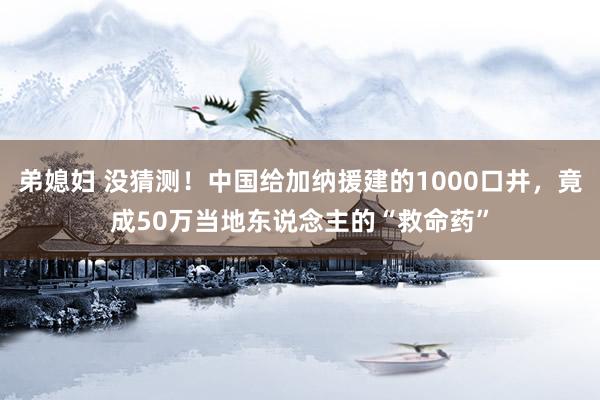 弟媳妇 没猜测！中国给加纳援建的1000口井，竟成50万当地东说念主的“救命药”