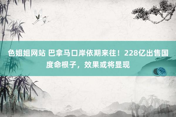 色姐姐网站 巴拿马口岸依期来往！228亿出售国度命根子，效果或将显现