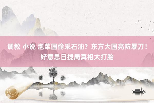 调教 小说 泡菜国偷采石油？东方大国亮防暴刀！好意思日搅局真相太打脸