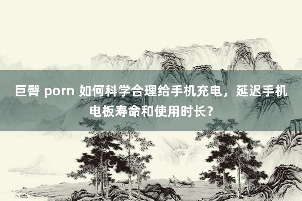 巨臀 porn 如何科学合理给手机充电，延迟手机电板寿命和使用时长？