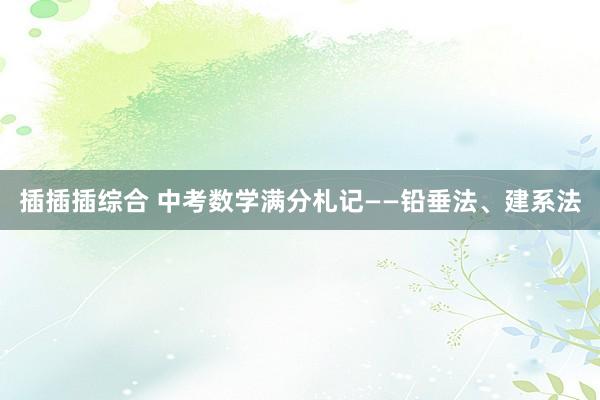 插插插综合 中考数学满分札记——铅垂法、建系法