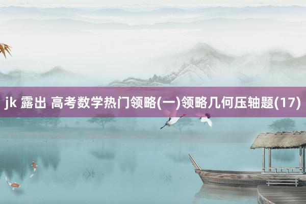 jk 露出 高考数学热门领略(一)领略几何压轴题(17)